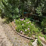 Quinta Laranja - -