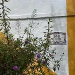 Quinta Laranja - - Parco vacanze
