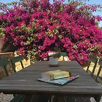 Quinta Laranja - -