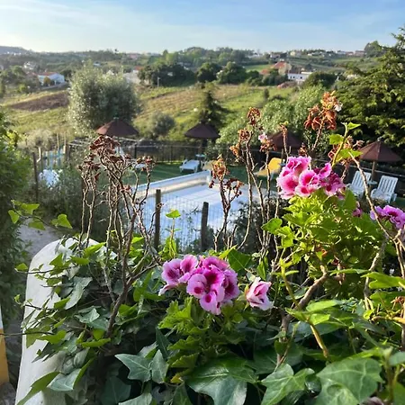 Prázdninový areál Quinta Laranja - - 4*