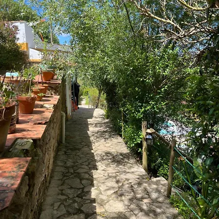 Quinta Laranja - - Parco vacanze Alvorninha