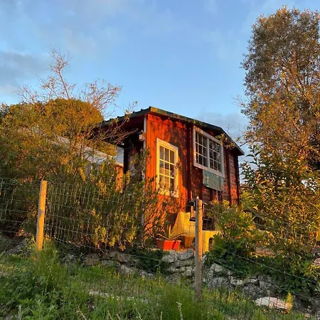 Quinta Laranja - - Holiday park Alvorninha