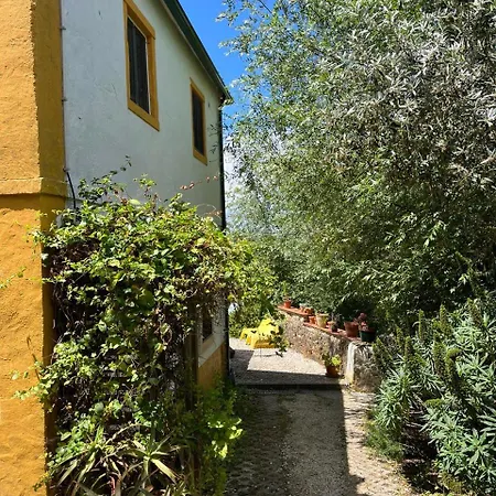 Holiday park Quinta Laranja - -