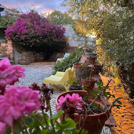 Holiday park Quinta Laranja - -