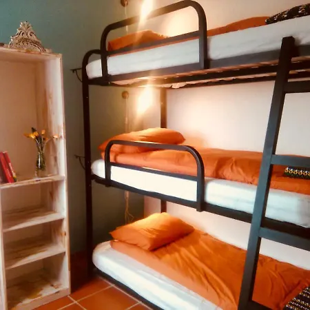 Quinta Laranja - - Holiday park