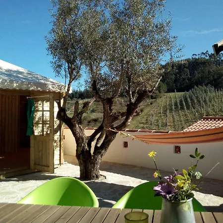 Quinta Laranja - - Holiday park