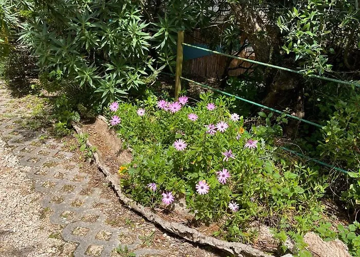 Quinta Laranja - -